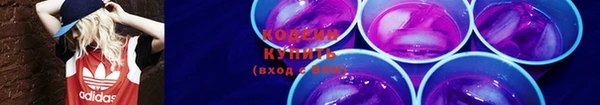 твердый Вяземский